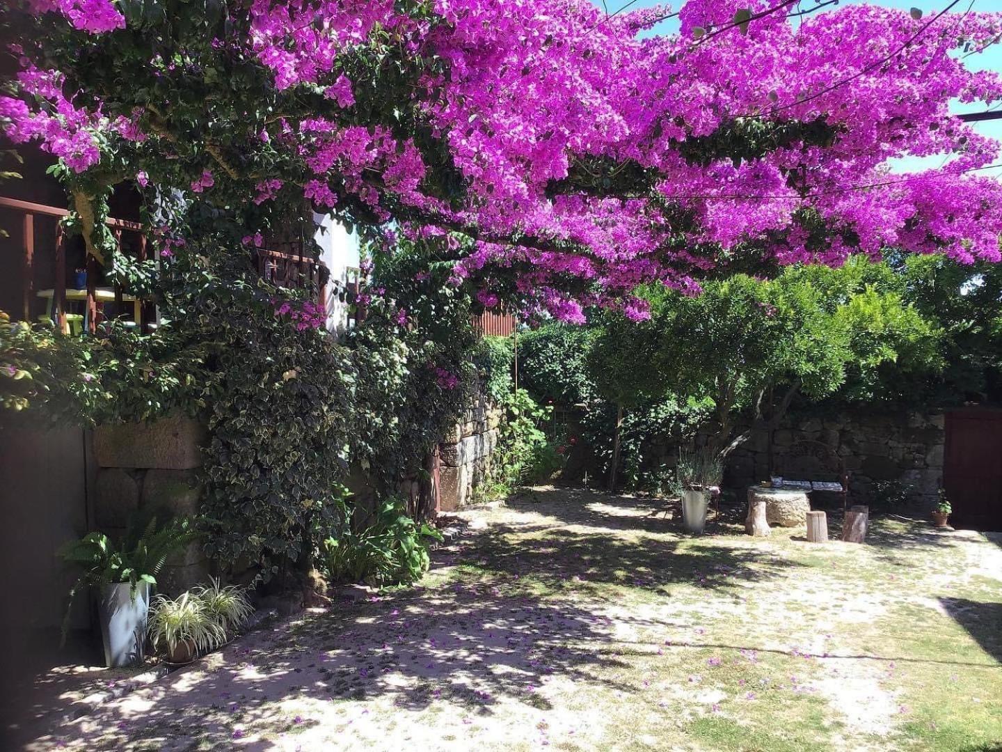 Apartamento Casa de Cerqueda Celorico De Basto Exterior foto