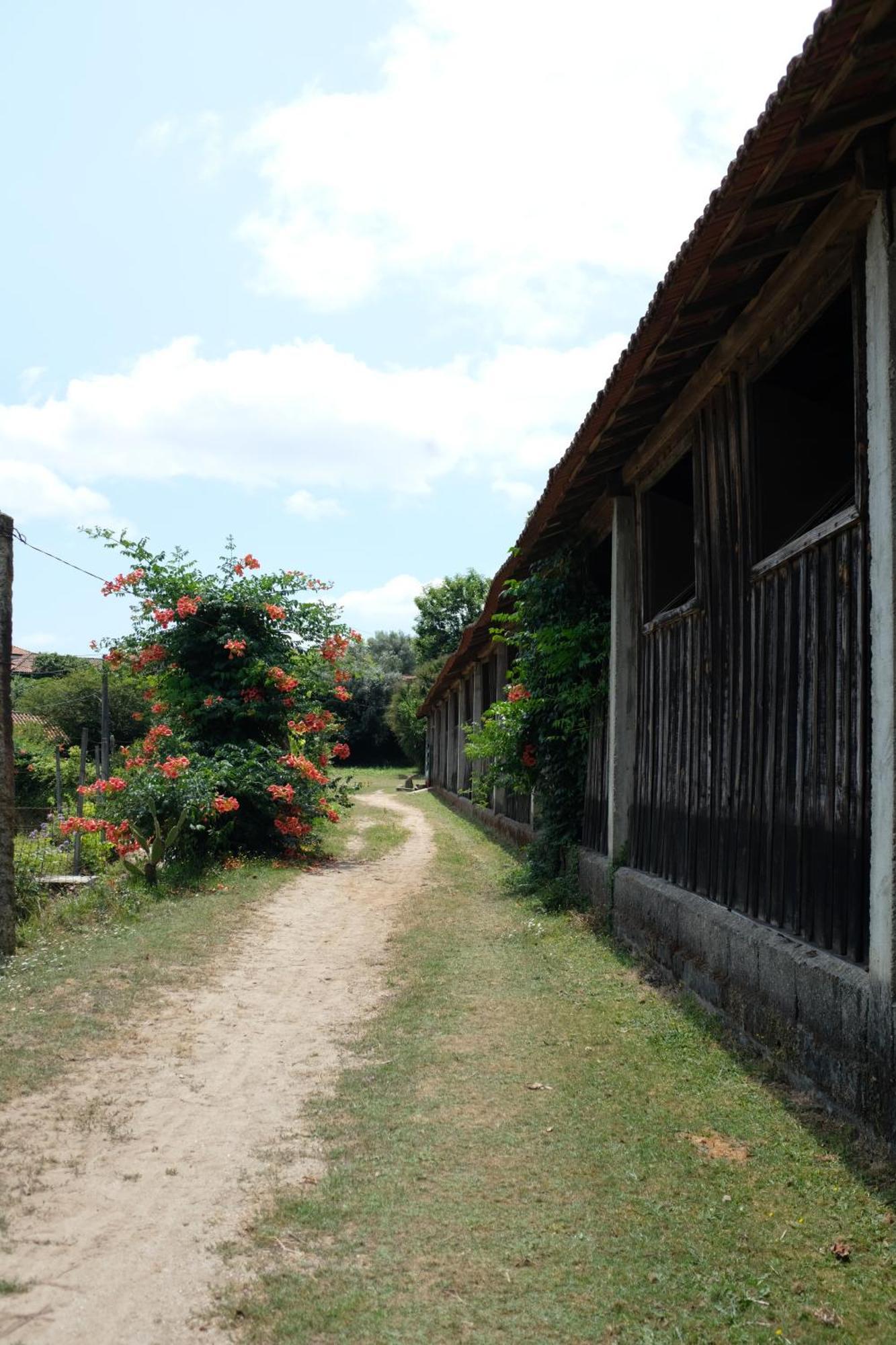 Apartamento Casa de Cerqueda Celorico De Basto Exterior foto