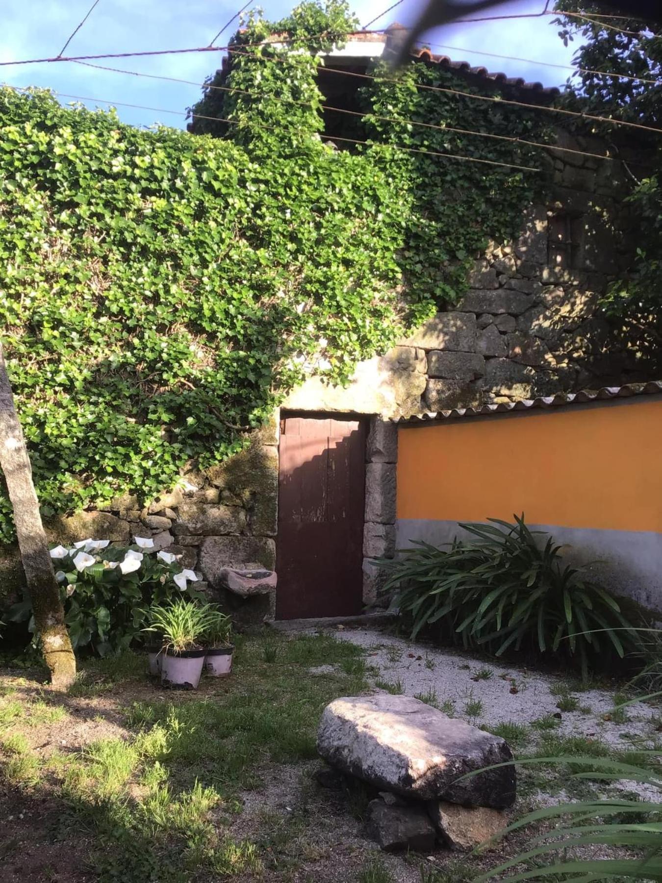 Apartamento Casa de Cerqueda Celorico De Basto Exterior foto