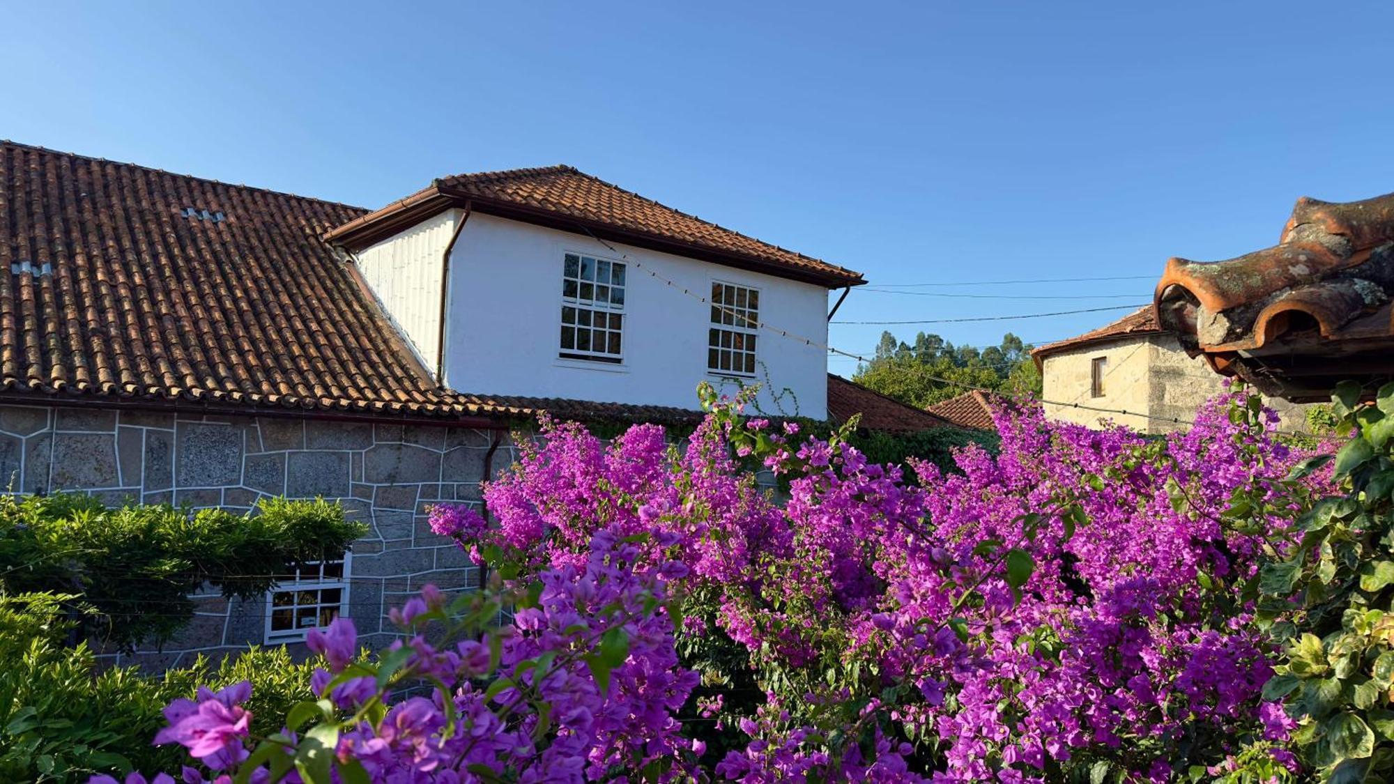 Apartamento Casa de Cerqueda Celorico De Basto Exterior foto